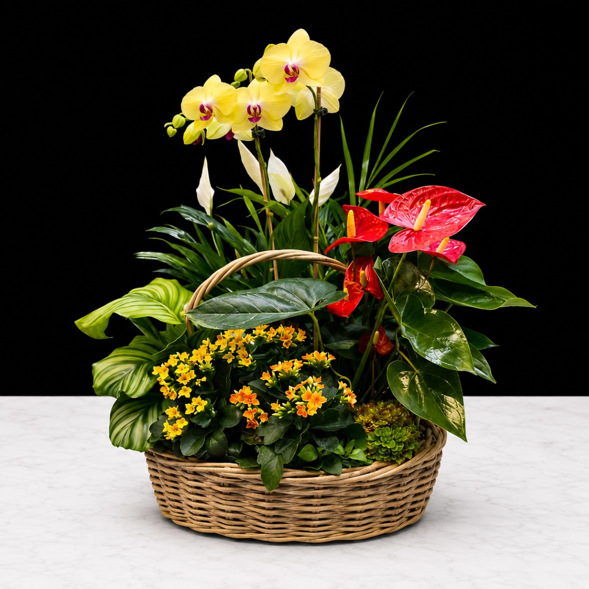 XLarge Plant Basket