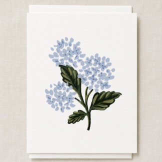 Hydrangea Stem Card
