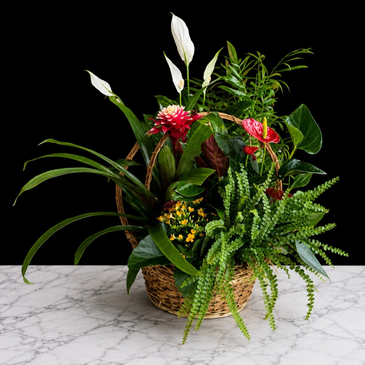 Medium Plant Basket