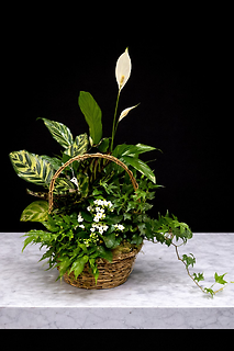 Small Plant Basket