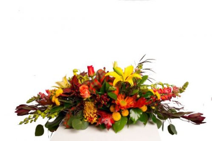 Homeward Bound Centerpiece