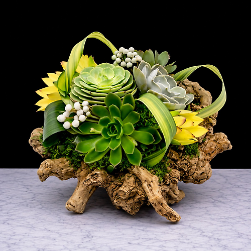 Succulent Paradise Bouquet