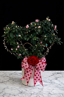 Azalea Topiary Heart