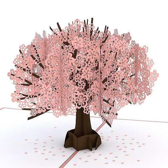 Cherry Blossom - LovePop Card