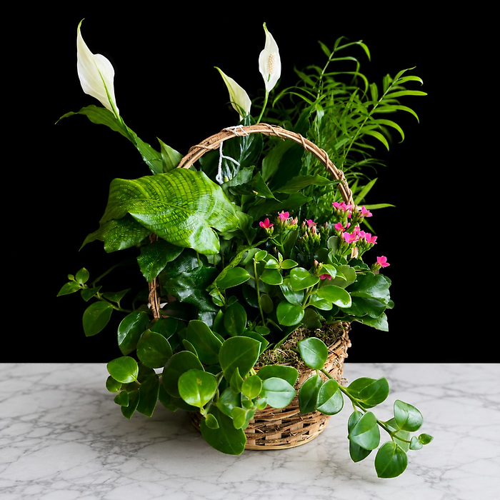 Small Plant Basket
