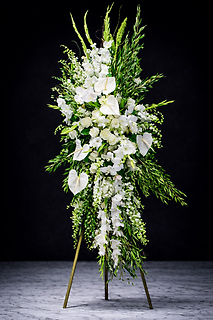 Wings of an Angel Spray