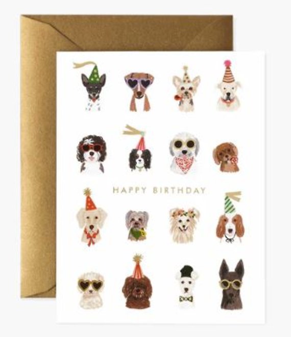 Cool Dogs Birthday Card