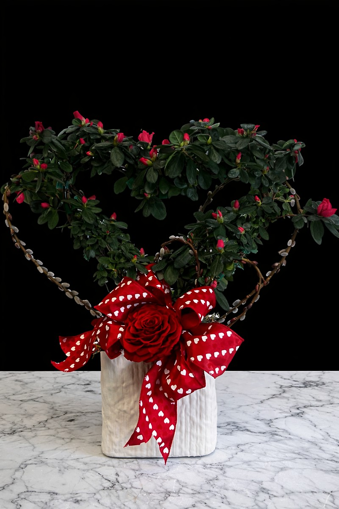 Azalea Topiary Heart