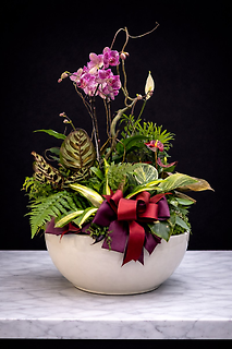 XLarge Ceramic Dish Garden