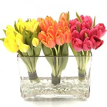 Cosmopolitan Tulips Bouquet