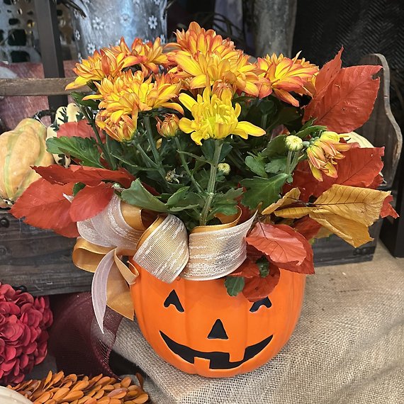 Pumpkin Patch Mums
