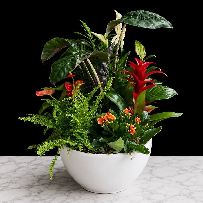 Large Ceramic Dish Garden