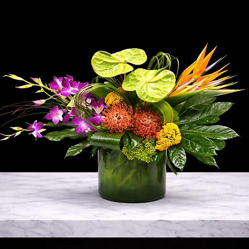 Tropicals & Exotics