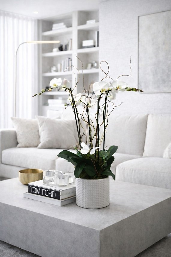 Double Stem Orchid Plant