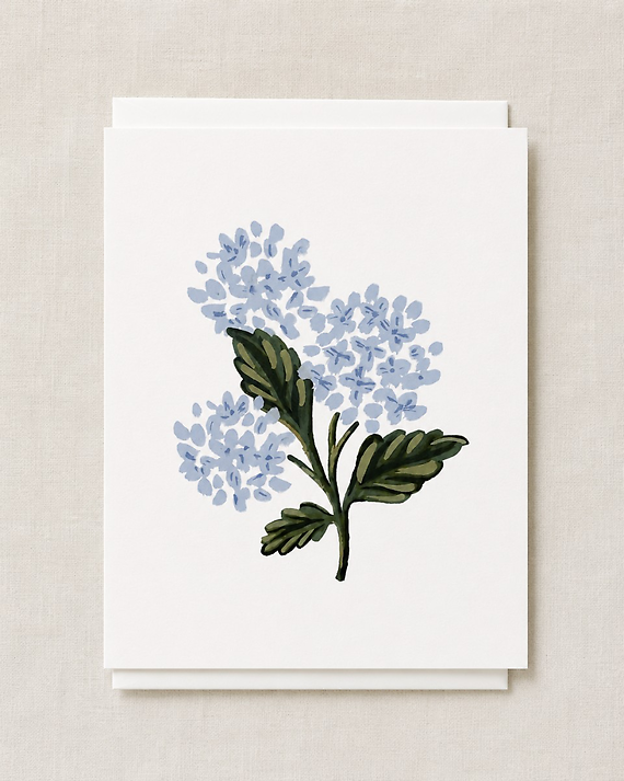 Hydrangea Stem Card