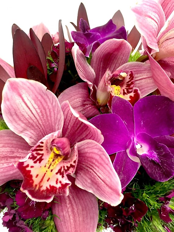 Burgundy Burgeon Bouquet