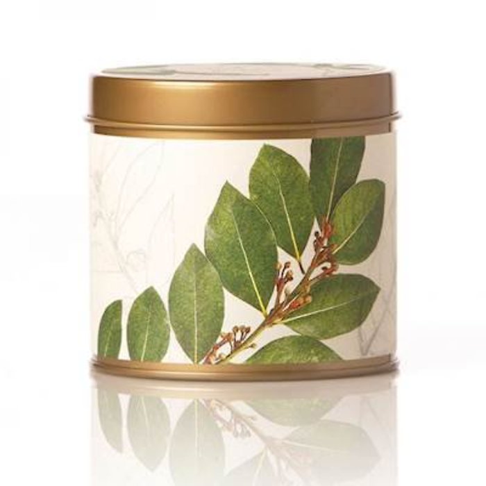 Rosy Rings Tin Candle, Bay Garland