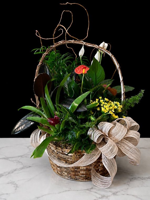 Large Plant Basket