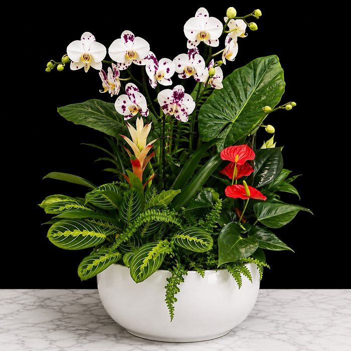 XLarge Ceramic Dish Garden
