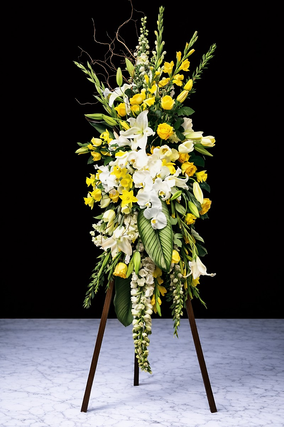 Shining Bright Spray