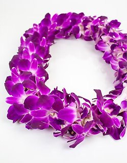 Orchid Lei