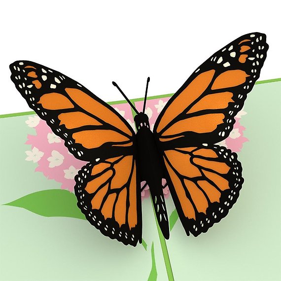 Butterfly LovePop Card