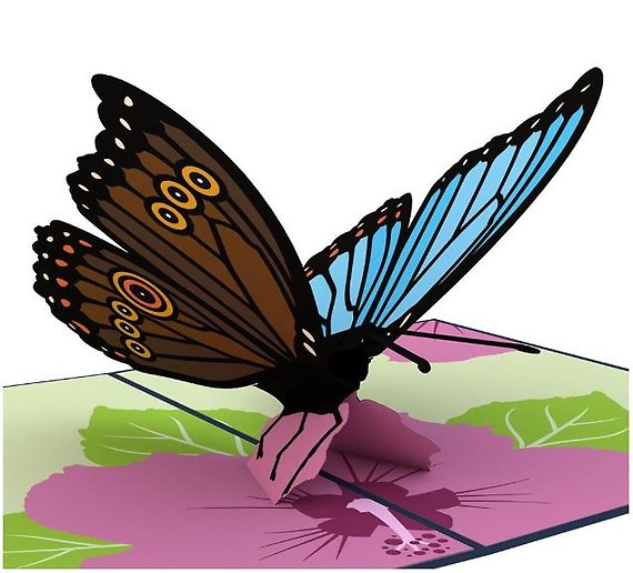 Blue Morpho Butterfly LovePop Card
