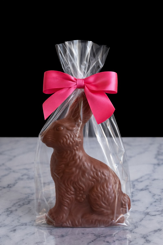 Chocolate Bunny 10oz