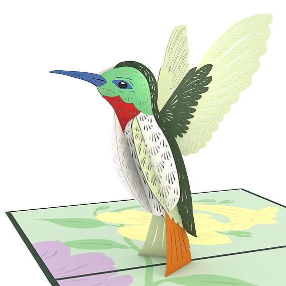 Humming Bird LovePop Card