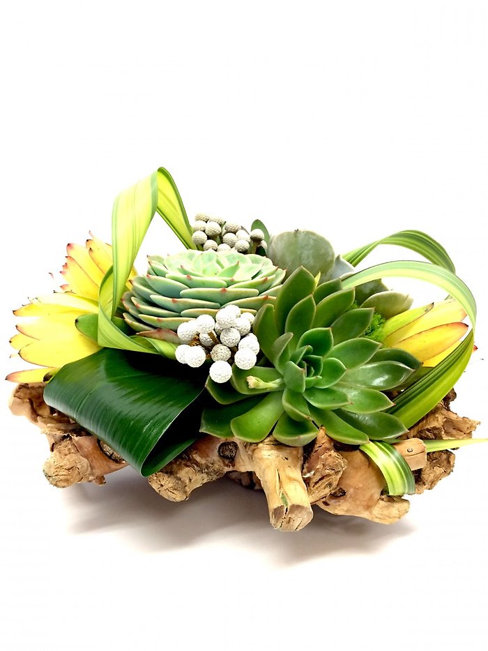 Succulent Paradise Bouquet