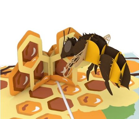 Honeybee LovePop Card